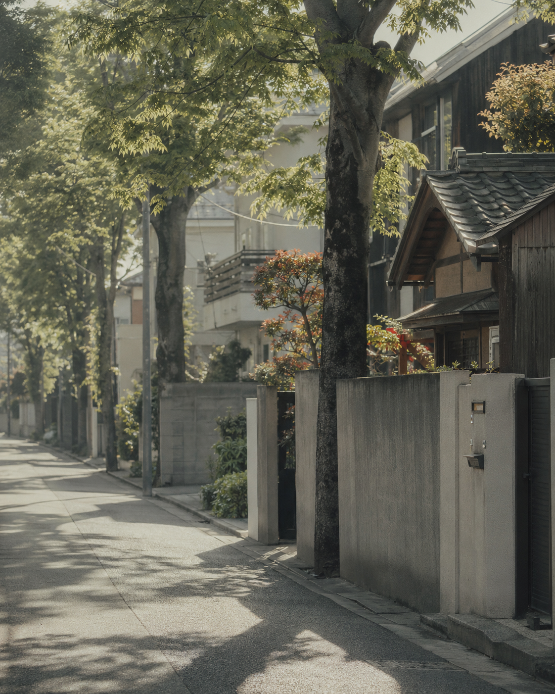 練馬区の樹木環境