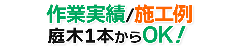 作業実績・成功例 庭木一本からOK！