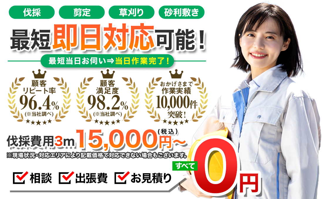 伐採東京 最短即日対応可能！ 業界最安値に挑戦！