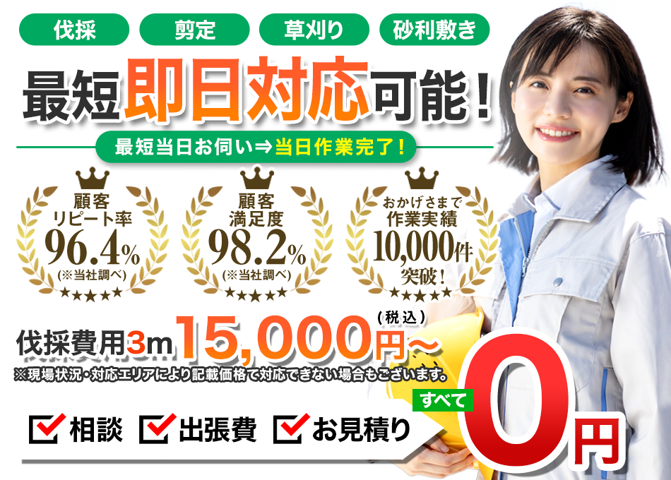 伐採東京 最短即日対応可能！ 業界最安値に挑戦！